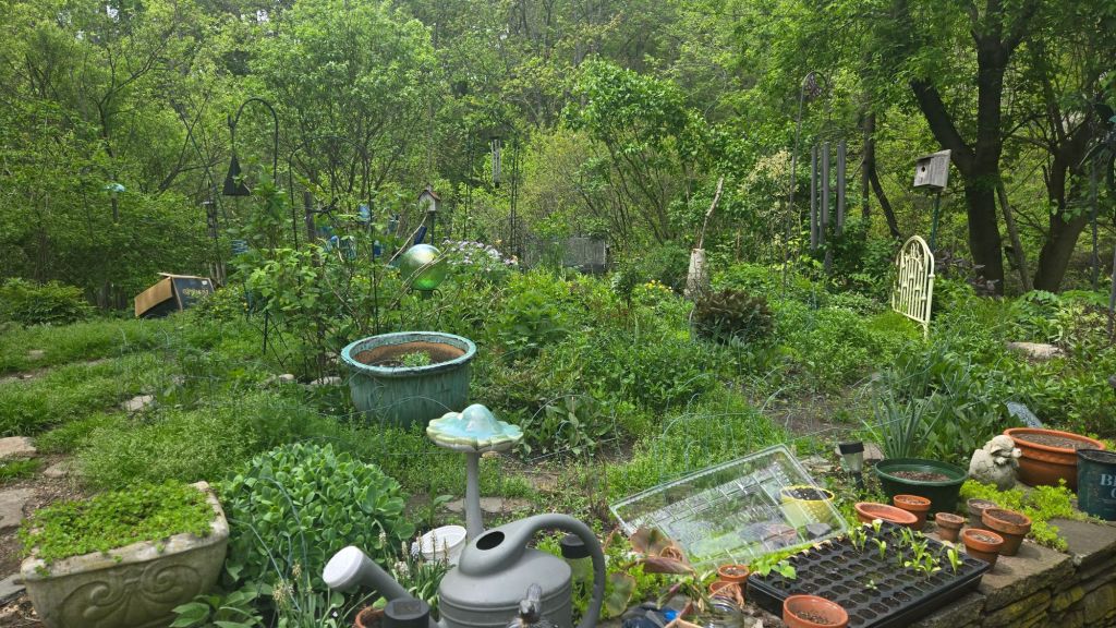 Lessons from Mandi’s&nbsp;Garden